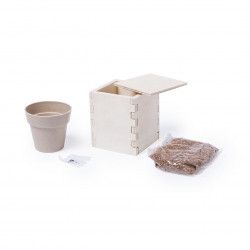 Vaso menta Merin 6223
