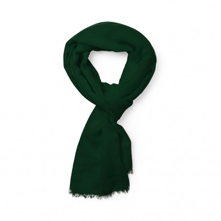 Pashmina Ribban 5916