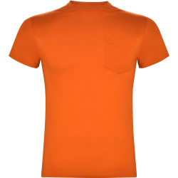 T Shirt Teckel R6523