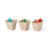 Kit Giardino Mendrax 2673