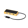 Porta USB Ginger 20284