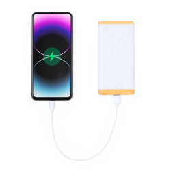 Power Bank Coquin 21219