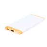 Power Bank Coquin 21219