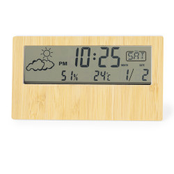 Stazione Meteorologica Roamer  20875