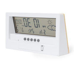 Stazione Meteorologica Roamer  20875