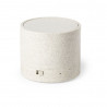 Speaker Cayren 6540