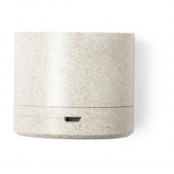 Speaker Cayren 6540