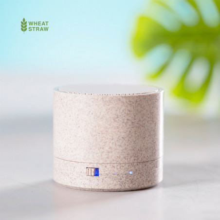 Speaker Cayren 6540