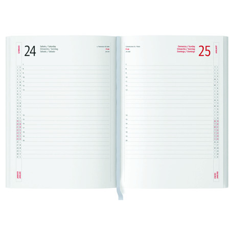 Interno Giornaliero PB001