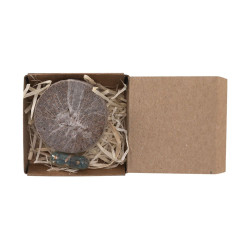Pack Piantabile Aquael Ref: 2768