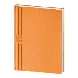 AGENDA GIORNALIERA PB207