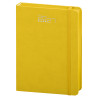 AGENDA GIORNALIERA PB527
